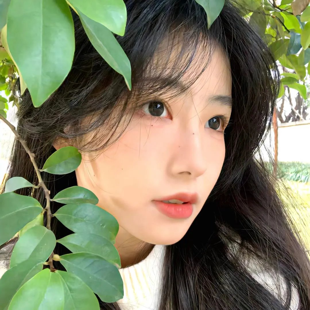 继承者计划